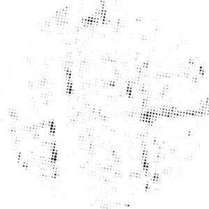 COUNTRY ROOTS INC.
